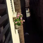 Le Naiadi