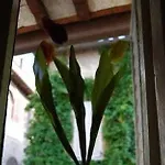 Bed & Breakfast Le Naiadi