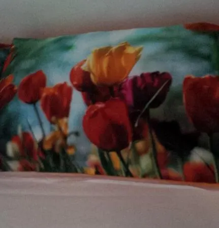 Bed and Breakfast Le Naiadi 3*