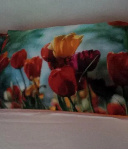 Bed & Breakfast Le Naiadi 3*