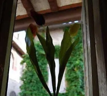 Bed and Breakfast Le Naiadi